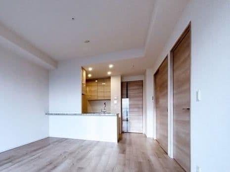 Stylish Toyosu 2BR Near Yurakucho Line Access - View 1