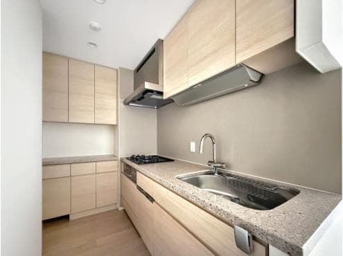 Luxury 1BR Near Osaki Station - View 1