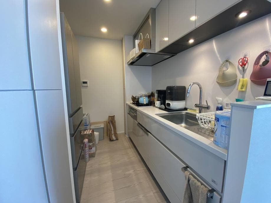Brand New 2024 2BR Tower Near Ikebukuro - View 1