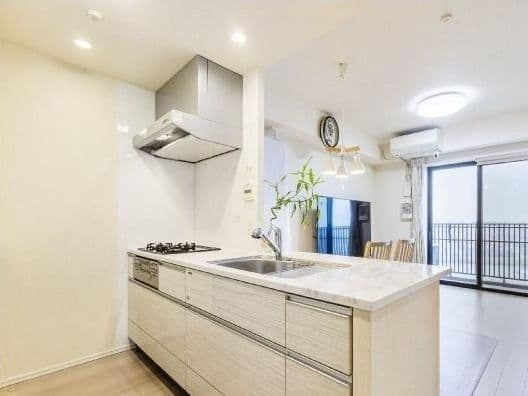 Well-Priced 3BR Apartment in Kanamachi's Shinjuku Area - View 1