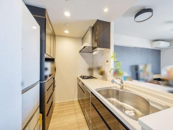 Spacious 4BR Family Home Near Kanamachi Station - View 1