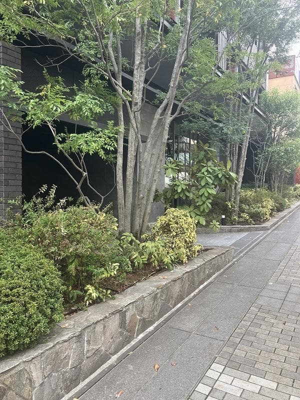 Updated 3BR Home Near Center Kita Station - View 1
