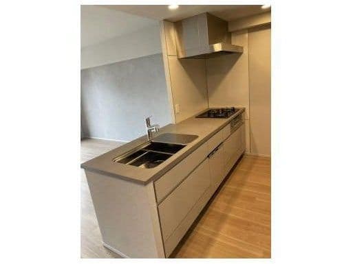 New Build 3BR in Kawaguchi - View 1
