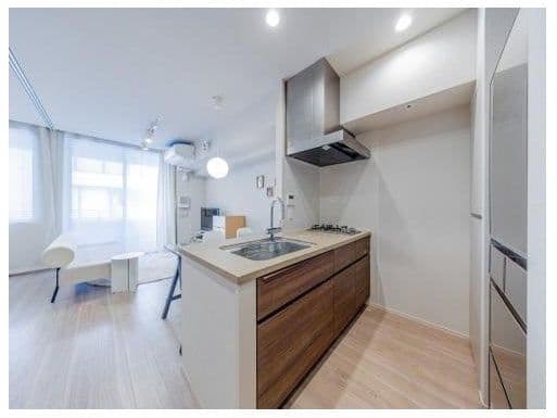 Upscale Kanda 1BR Near Shin-Ochanomizu Station - View 1