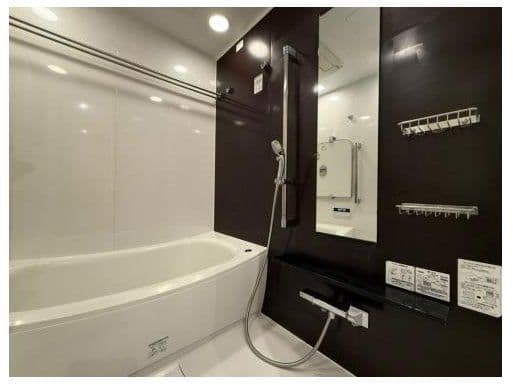 Spacious 1BR + Den Near Iwamotocho Station - View 1