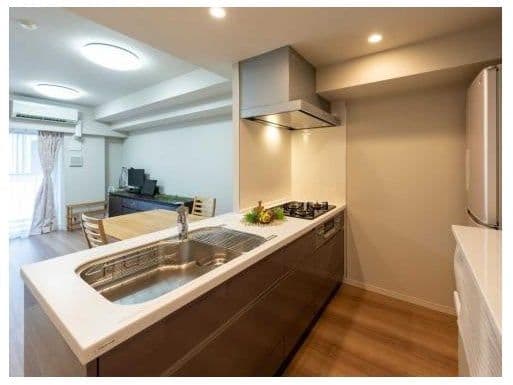 Spacious 2BR + Den Near Shin-Ochanomizu - View 1